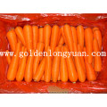 High Quality Fresh New Crop Carrot